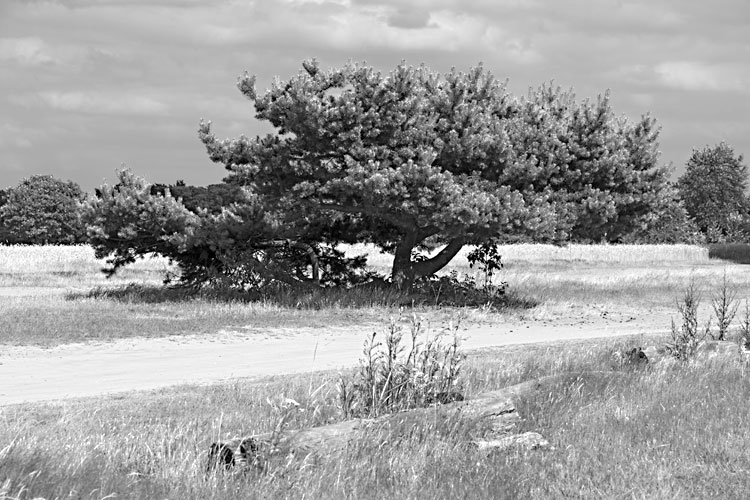 Rodgau Am Baggersee