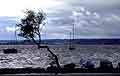 Ammersee (63 kb)