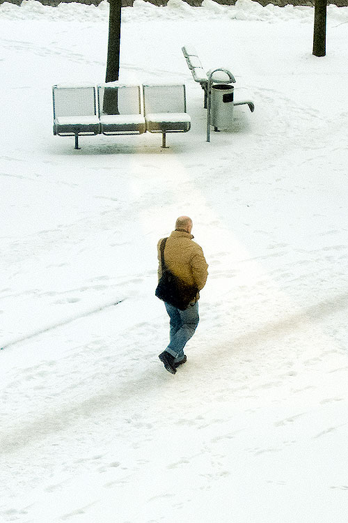 Schneegänger