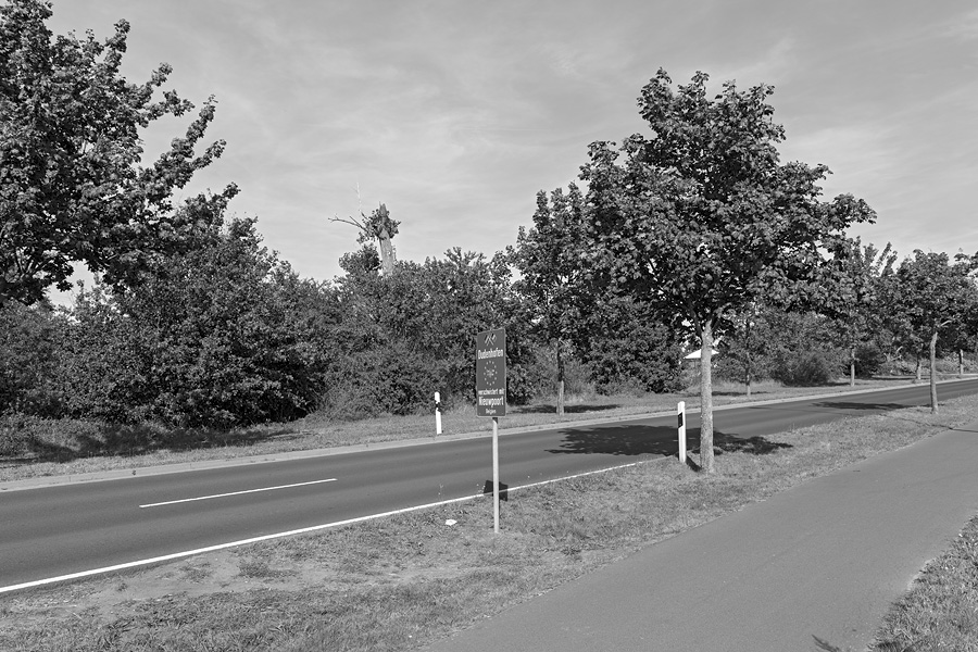 Der Rodgauer Wald nach dem Sturm