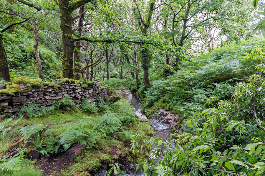 Wales - Snowdonia National Park