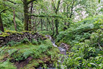 Wales - Snowdonia National Park