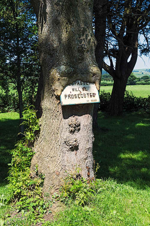 Wales - Rhydy Ronen - Eingewachsenes Schild