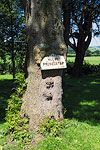 Wales - Rhydy Ronen - Eingewachsenes Schild